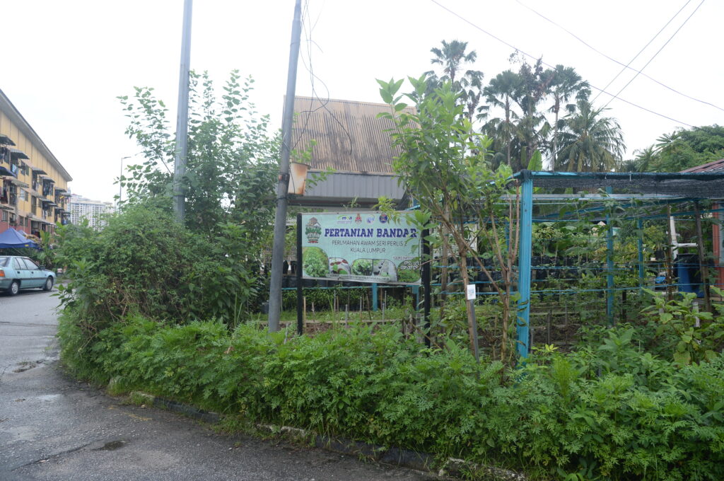 3. Pertanian kebun bandar. Lokasi di Perumahan Awam Seri Perlis, Kuala Lumpur.