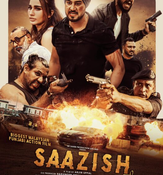 2. SAAZISH